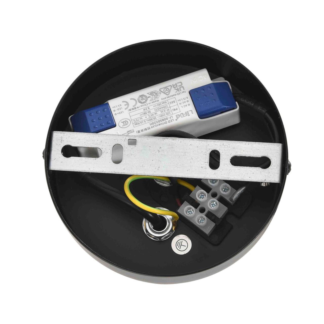 Картинка 8301/9L Lumion Люстра CAMOMILE