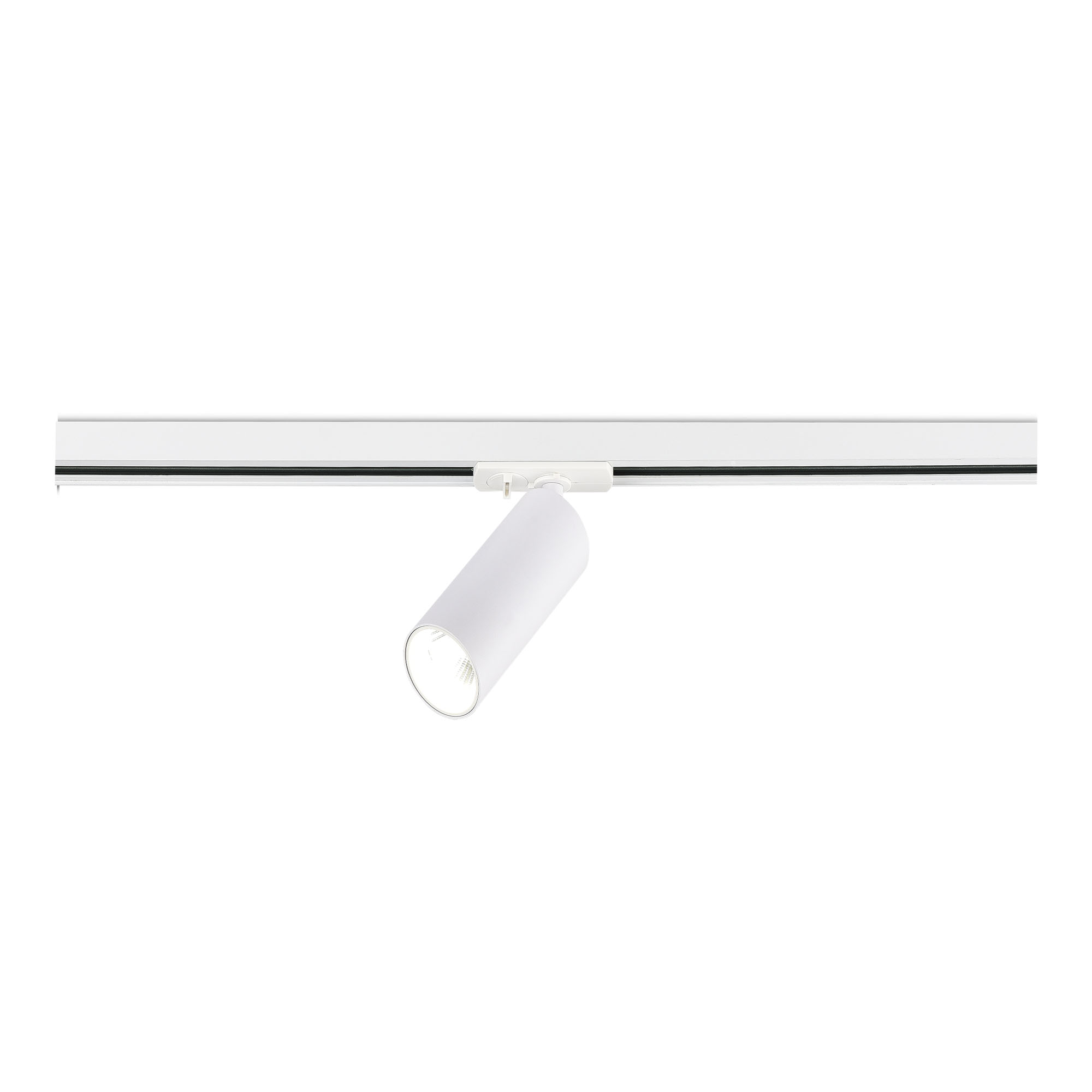 Картинка ST382.546.10.TRIAC Трековый светильник ST-Luce