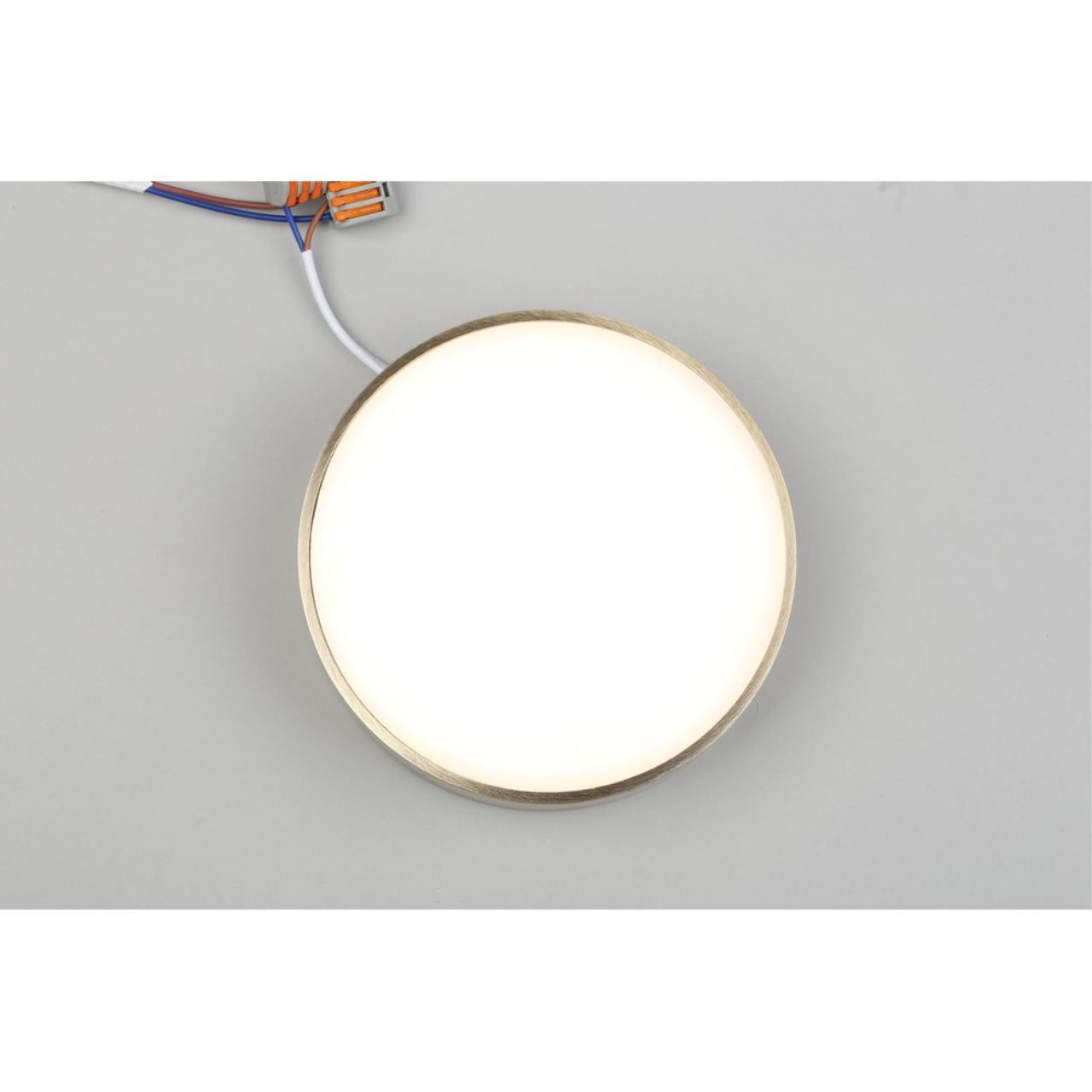 Картинка Потолочный светодиодный светильник Aployt Evon APL.0113.29.18