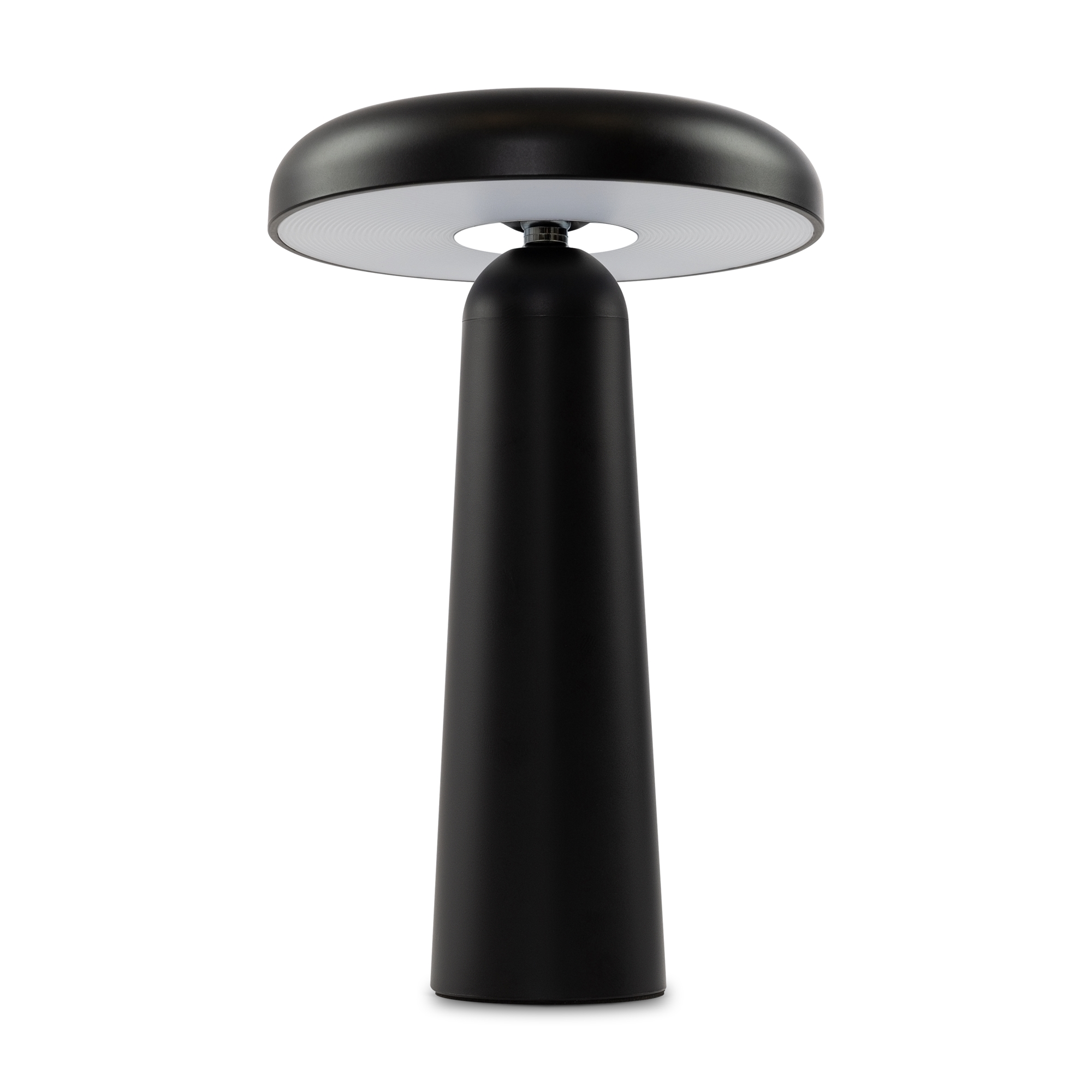 Аккумуляторный светильник Freya FR6109TL-L4B