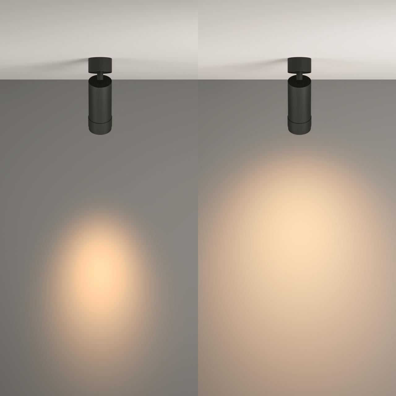 Дополнительная картинка Потолочный светильник Technical C055CL-L12W3K-Z-B