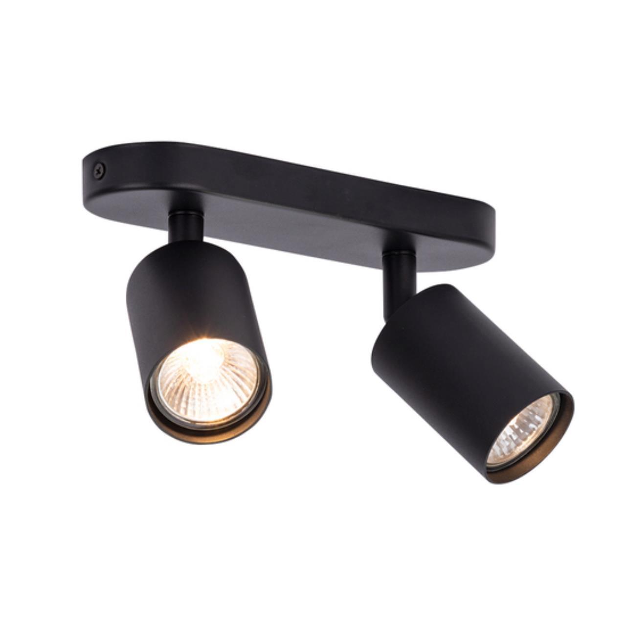 Дополнительная картинка Потолочный светильник Arte Lamp AQUARIUS A3226PL-2BK