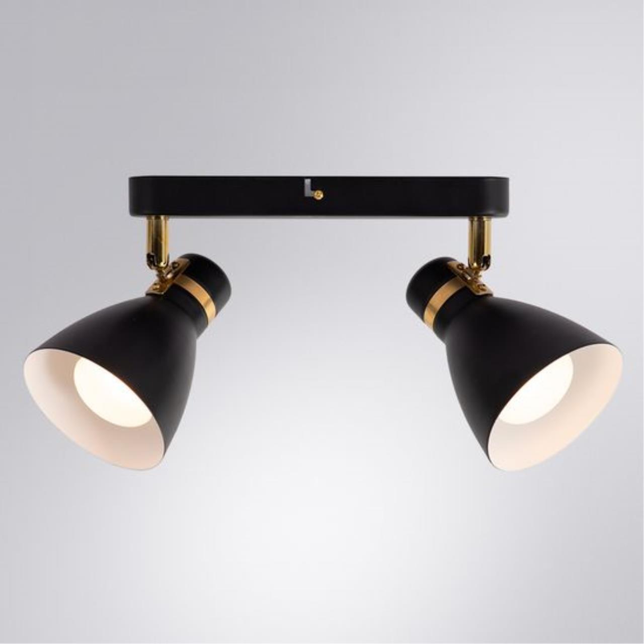 Картинка Потолочный светильник Arte Lamp FAFNIR A5047PL-2BK