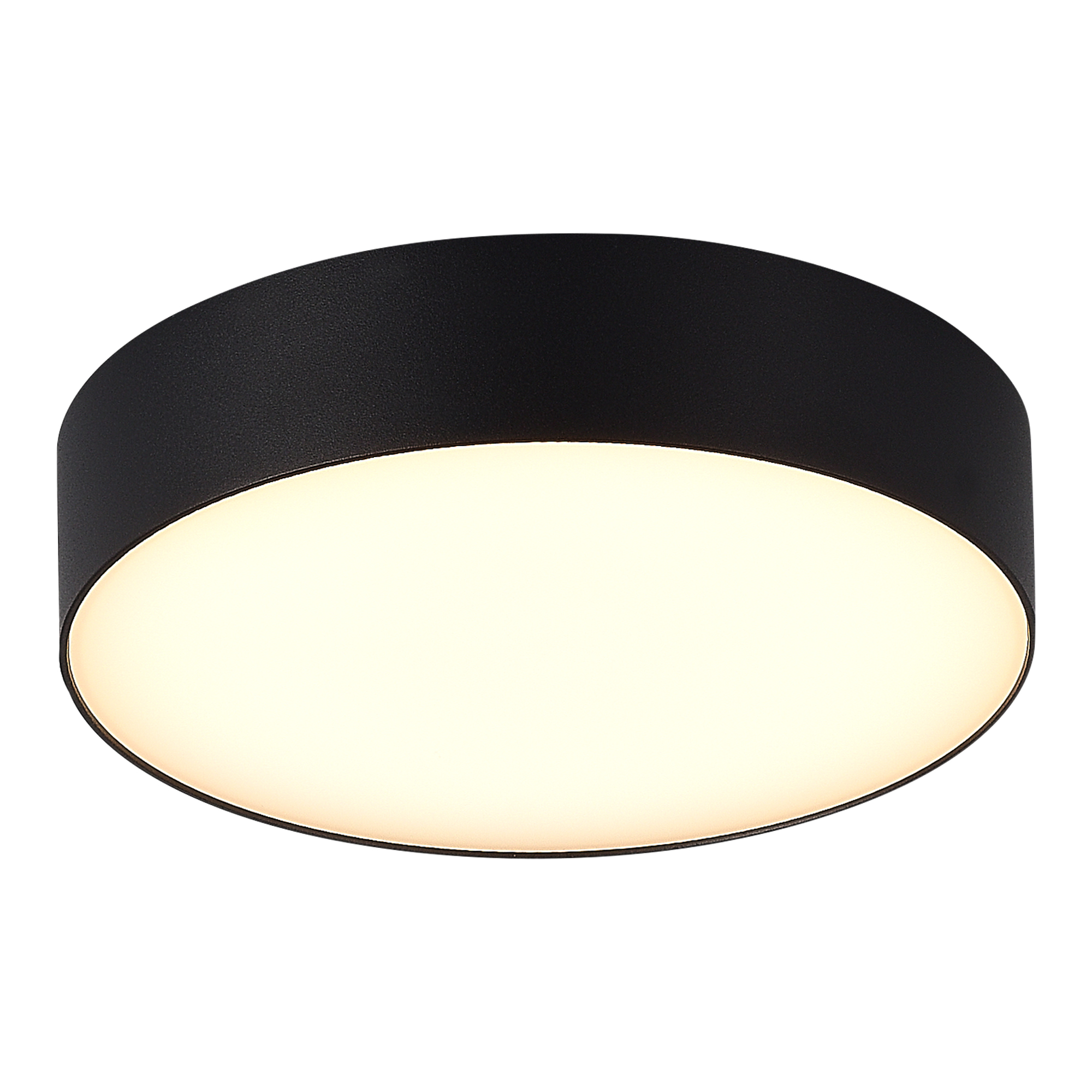 SL9518.402.01 Светильник уличный потолочный ST-Luce SUN