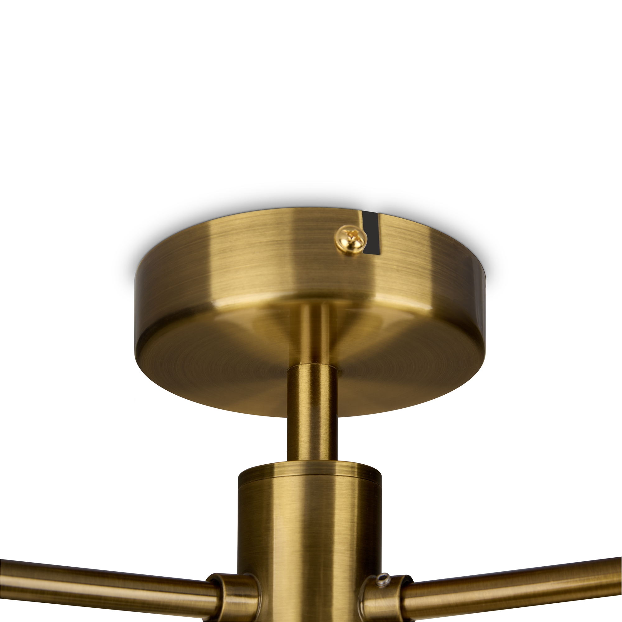 Дополнительная картинка Потолочный светильник Freya FR1012PL-04BS