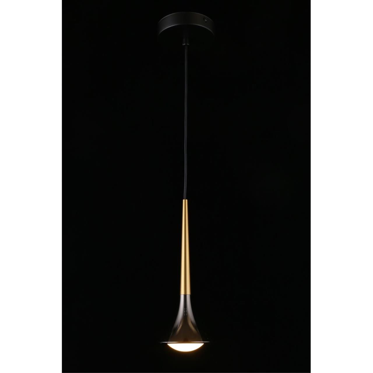 Картинка APL.784.06.01 Светильник подвесной Aployt Agas