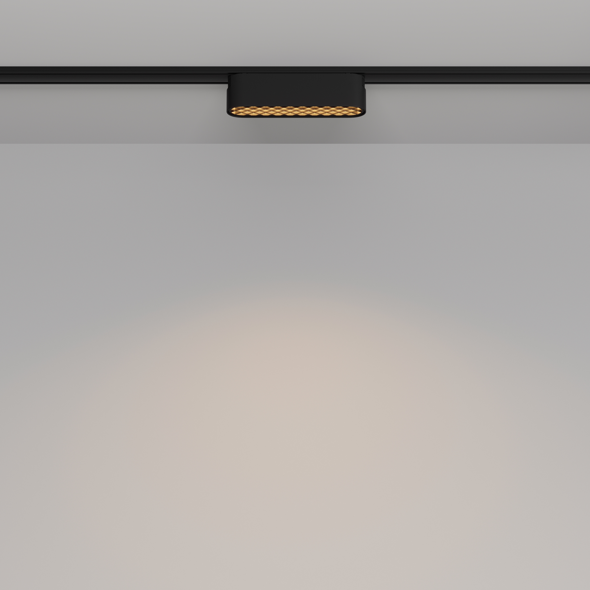 Дополнительная картинка Трековый светильник Technical TR084-1-6W3K-B