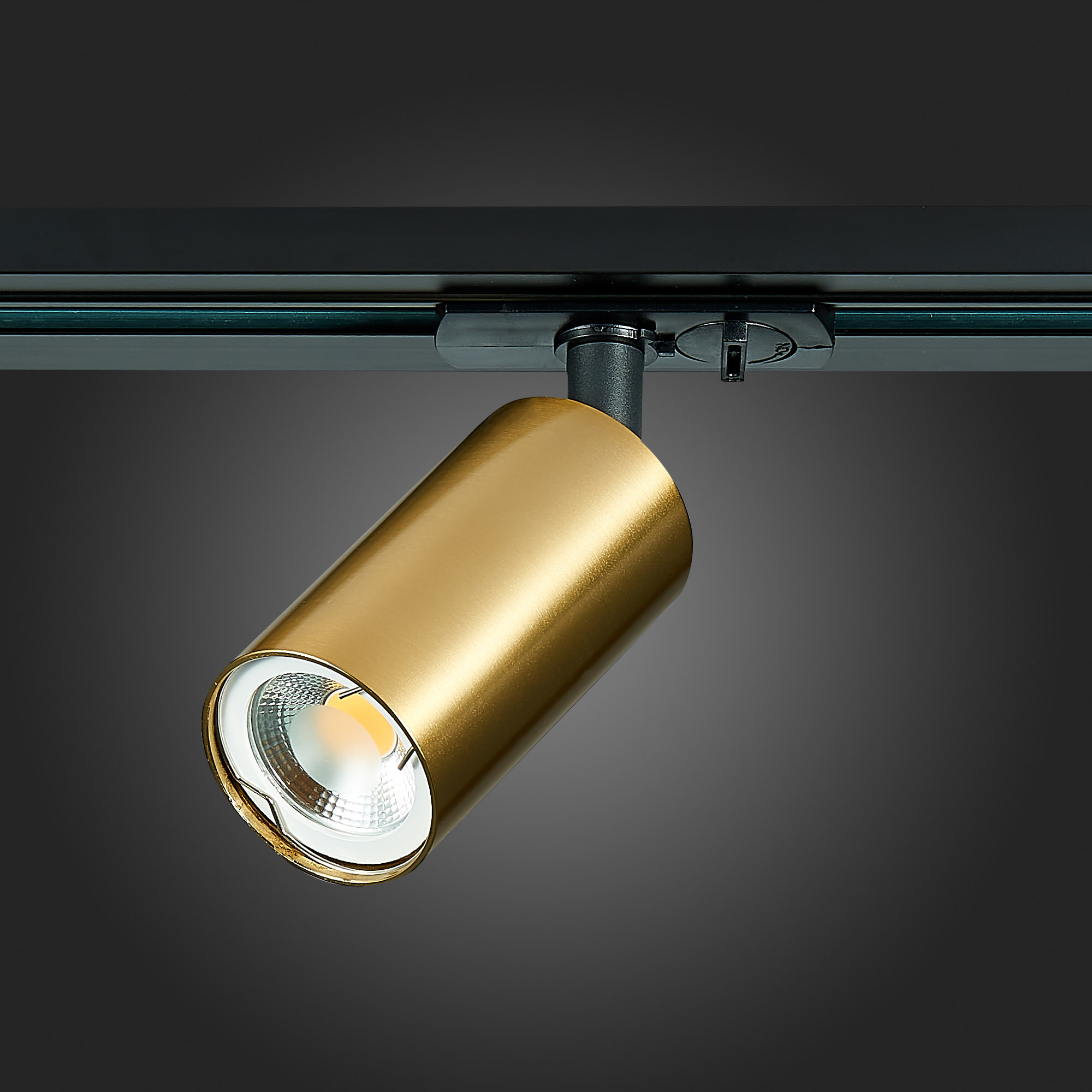 Картинка Трековый светильник ST Luce ST300.206.01