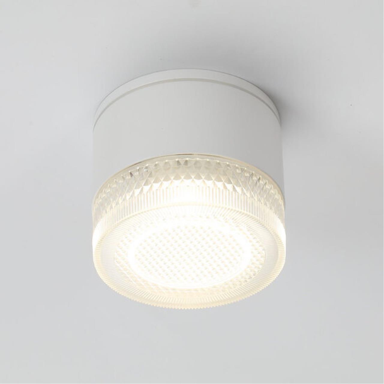 Уличный потолочный светильник Arte Lamp PIAUTOS A1926PF-1WH — фото 2