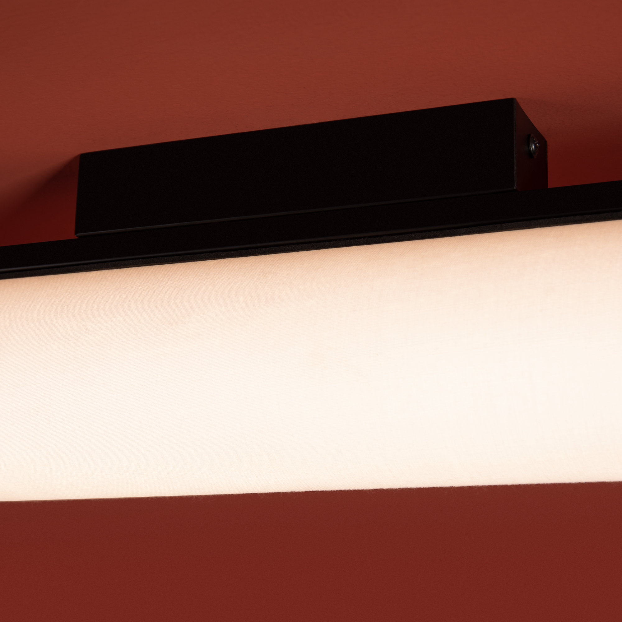 Картинка Потолочный светильник Freya FR5625CL-L20B Even