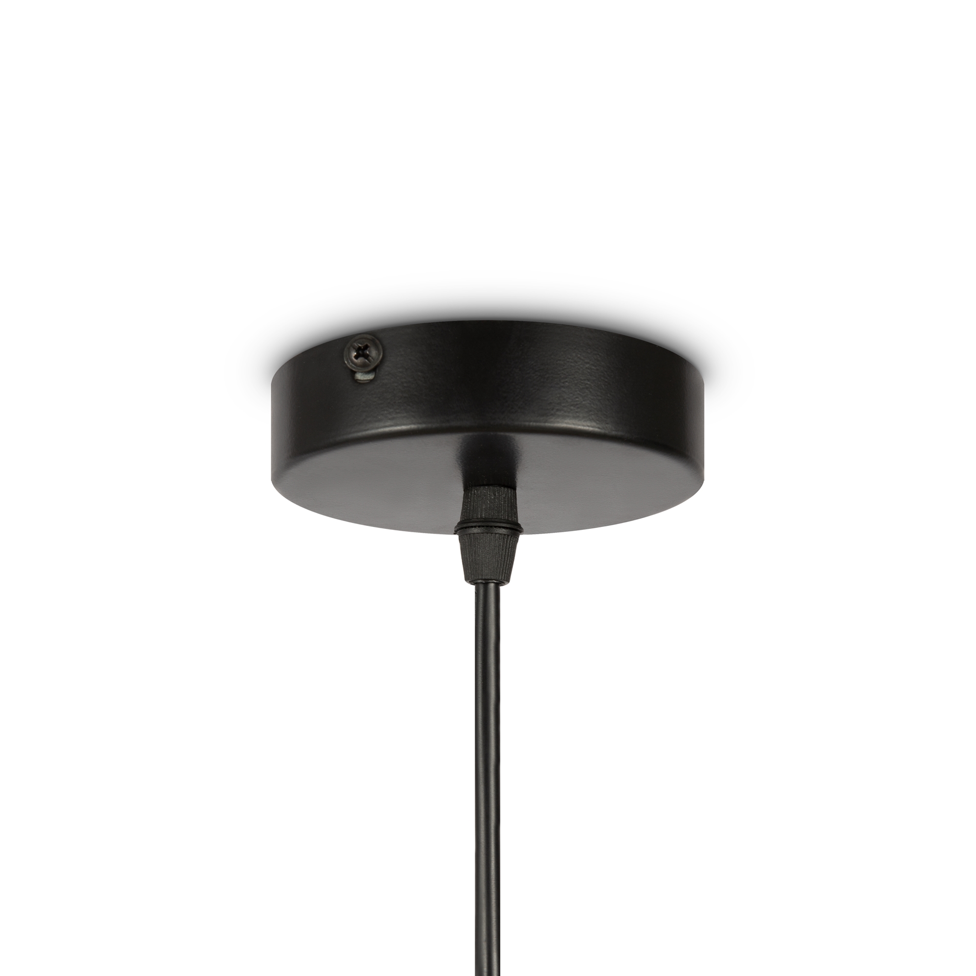 Дополнительная картинка Подвесной светильник Freya FR5249PL-03BG