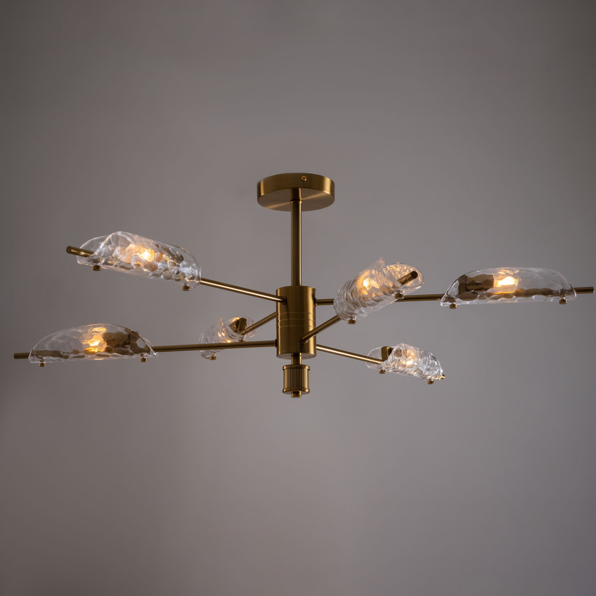 Дополнительная картинка Потолочный светильник Freya FR5420CL-06BS