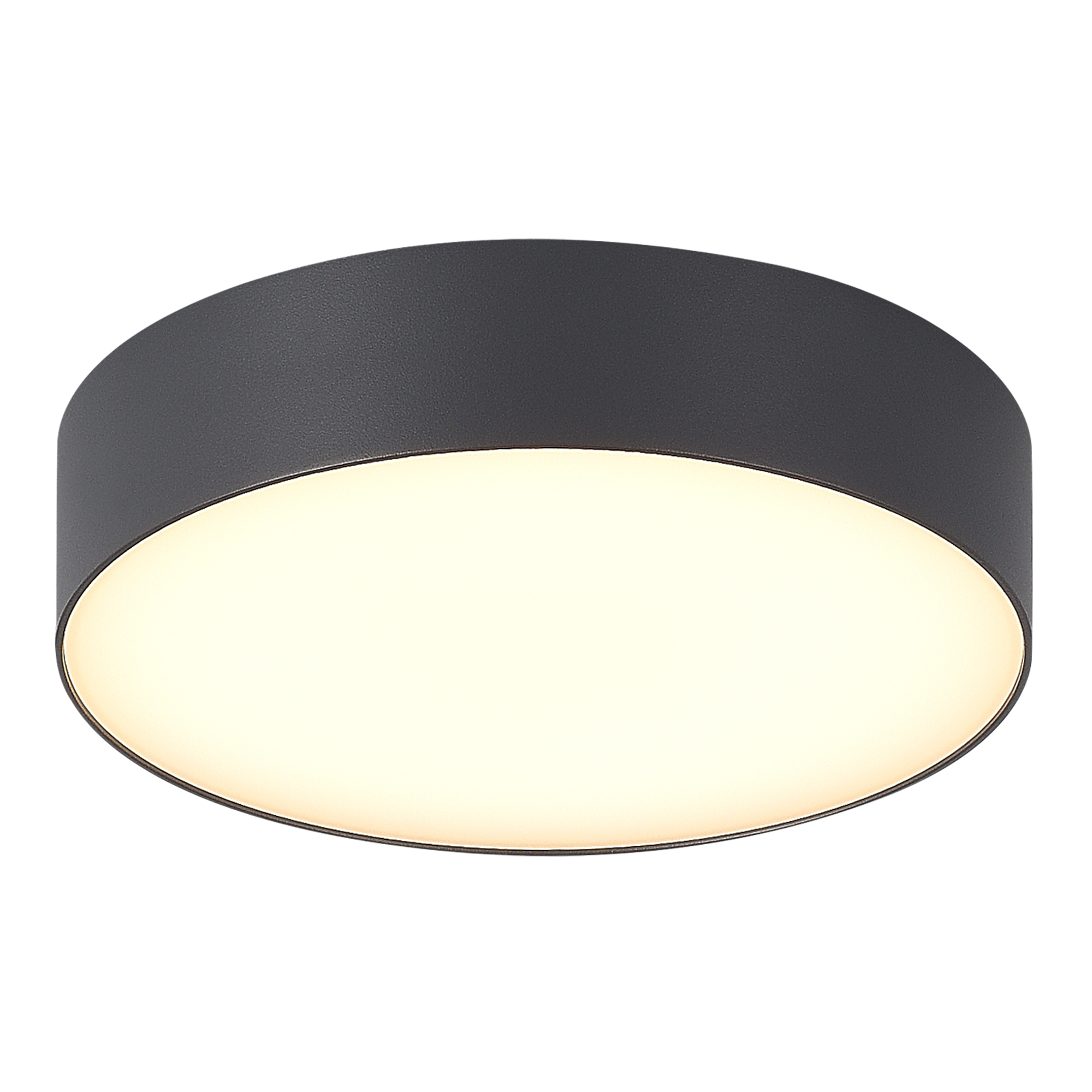 SL9518.702.01 Светильник уличный потолочный ST-Luce SUN