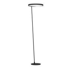 390167 Торшер диммируемый CAREDARA, LED, 23W, алюминий, сталь-черный. Предназначен  использование светодиод. ламп. цок. LED. Источник освещ. в компл.  купить в Алматы svet.kz