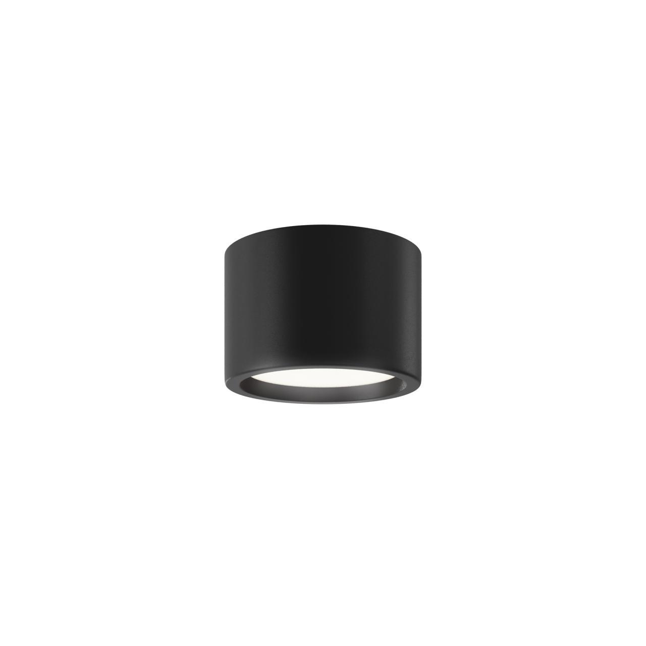 Дополнительная картинка Потолочный светильник Technical C090CL-10W4K-B