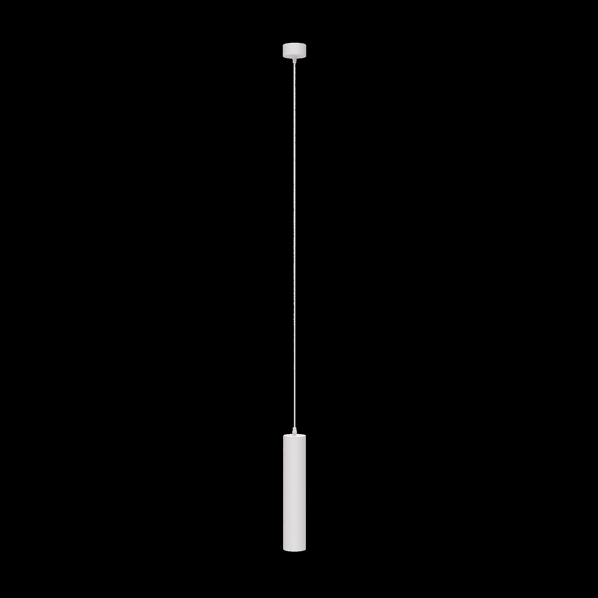 Дополнительная картинка Подвесной светильник Technical P075PL-01W