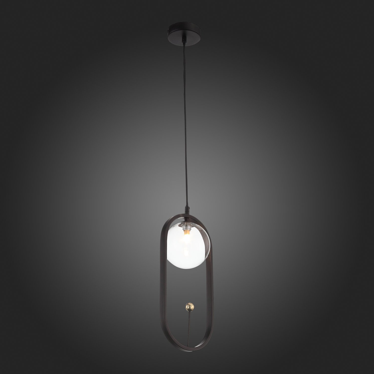 Картинка Подвесной светильник ST Luce Circono SL1201.403.01