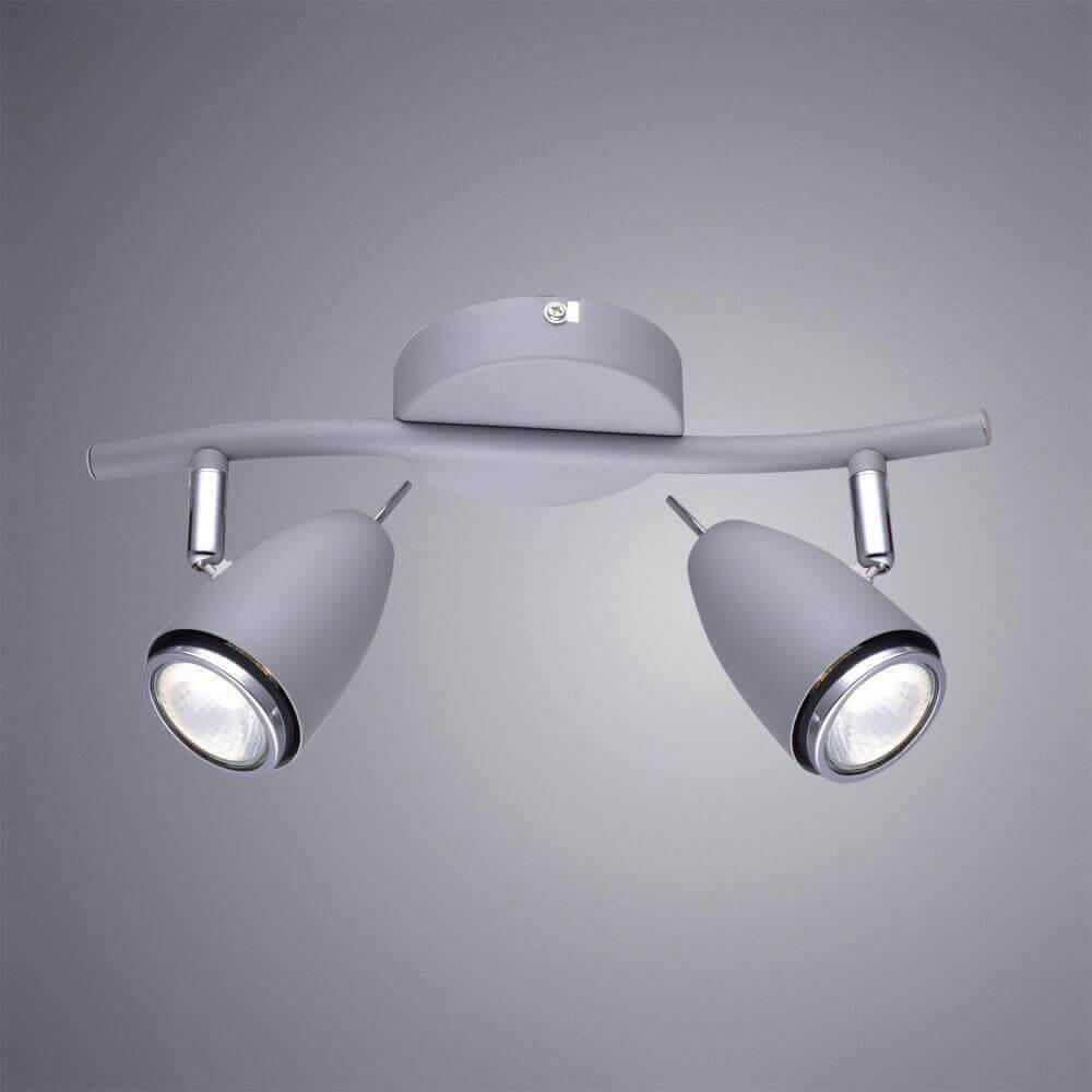 Дополнительная картинка Настенно-потолочный светильник Arte Lamp Regista A1966AP-2GY