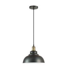 Подвесные Подвесной светильник Lumion Suspentioni Dario 3675/1, доставка по Казахстану 