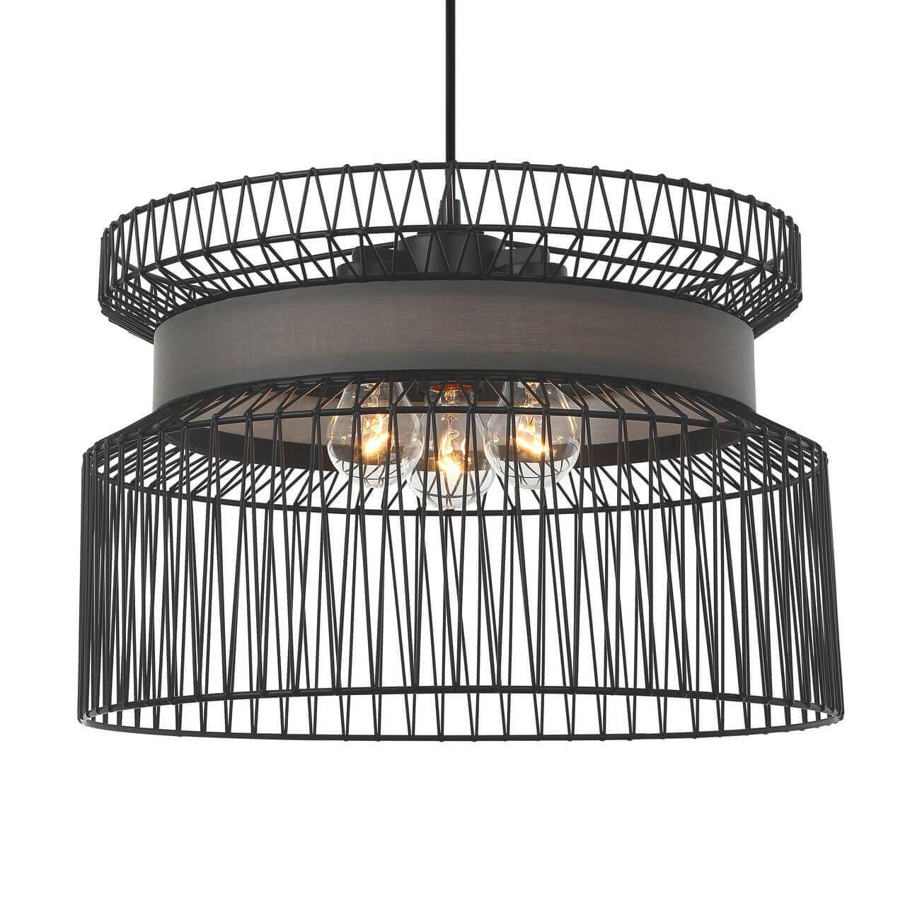 Дополнительная картинка Подвесная люстра Favourite Korb 2363-2P