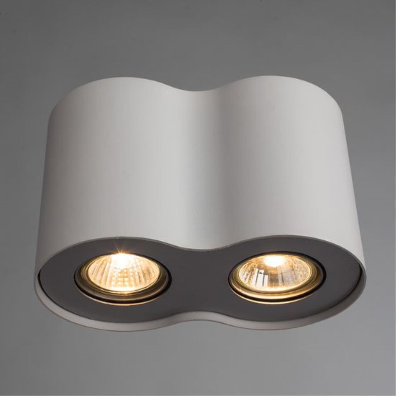 Дополнительная картинка Потолочный светильник Arte Lamp Falcon A5633PL-2WH