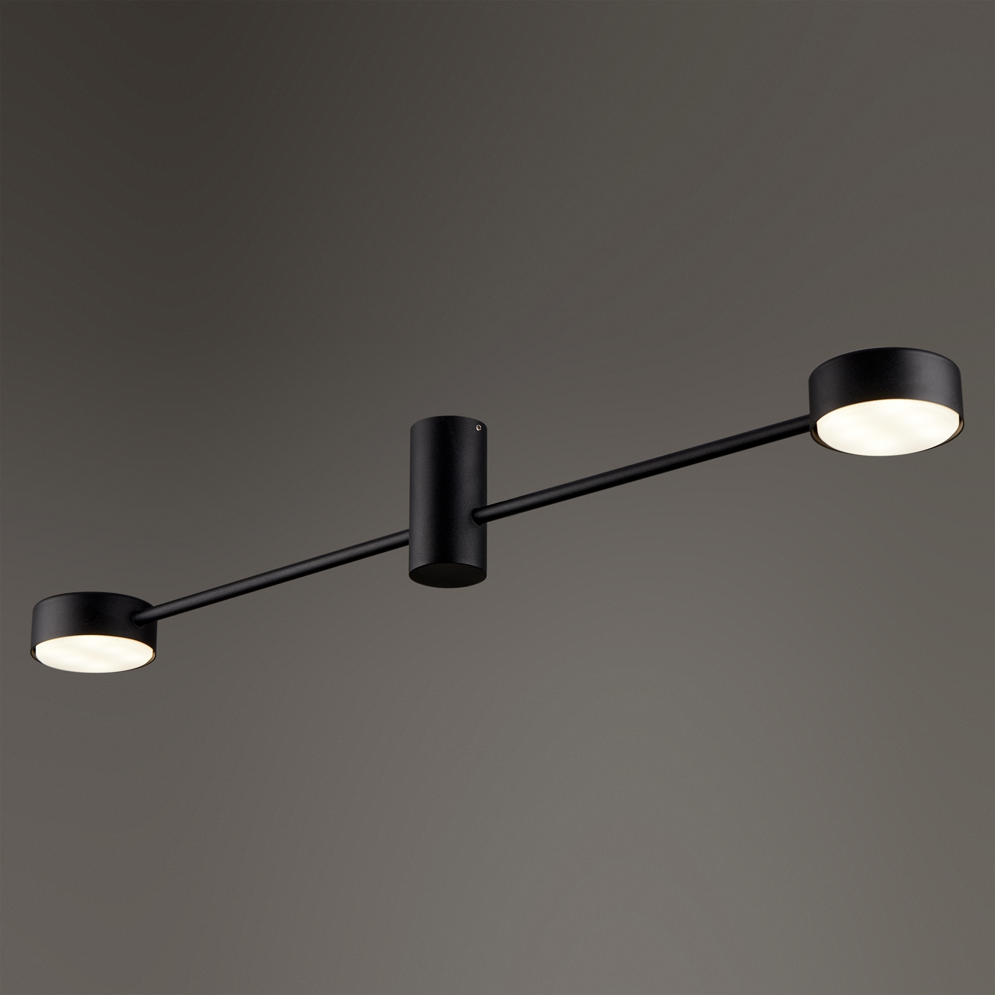 Дополнительная картинка Потолочный светильник Freya FR5363CL-02B1