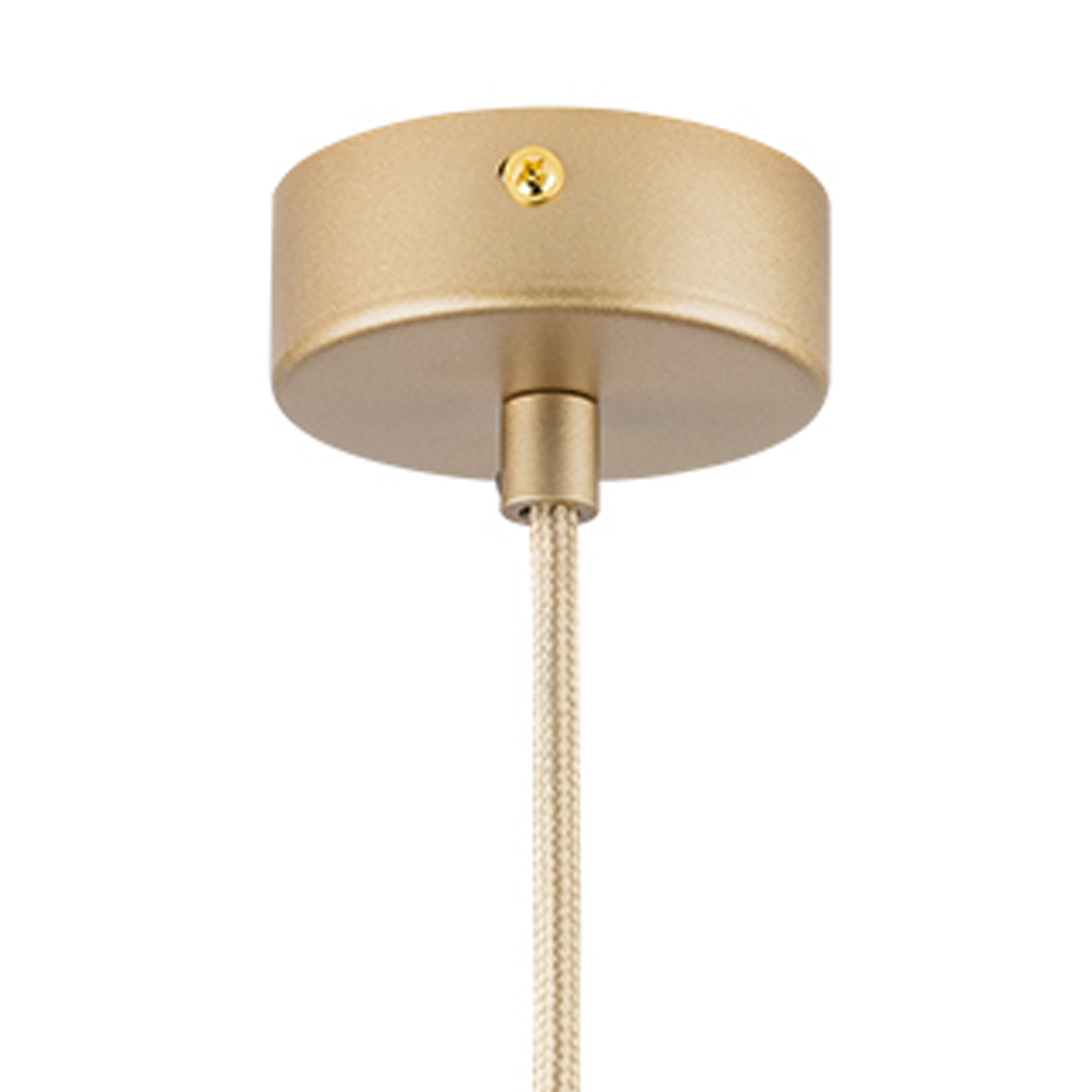 Картинка Подвесной светильник Lightstar Dumo 816313