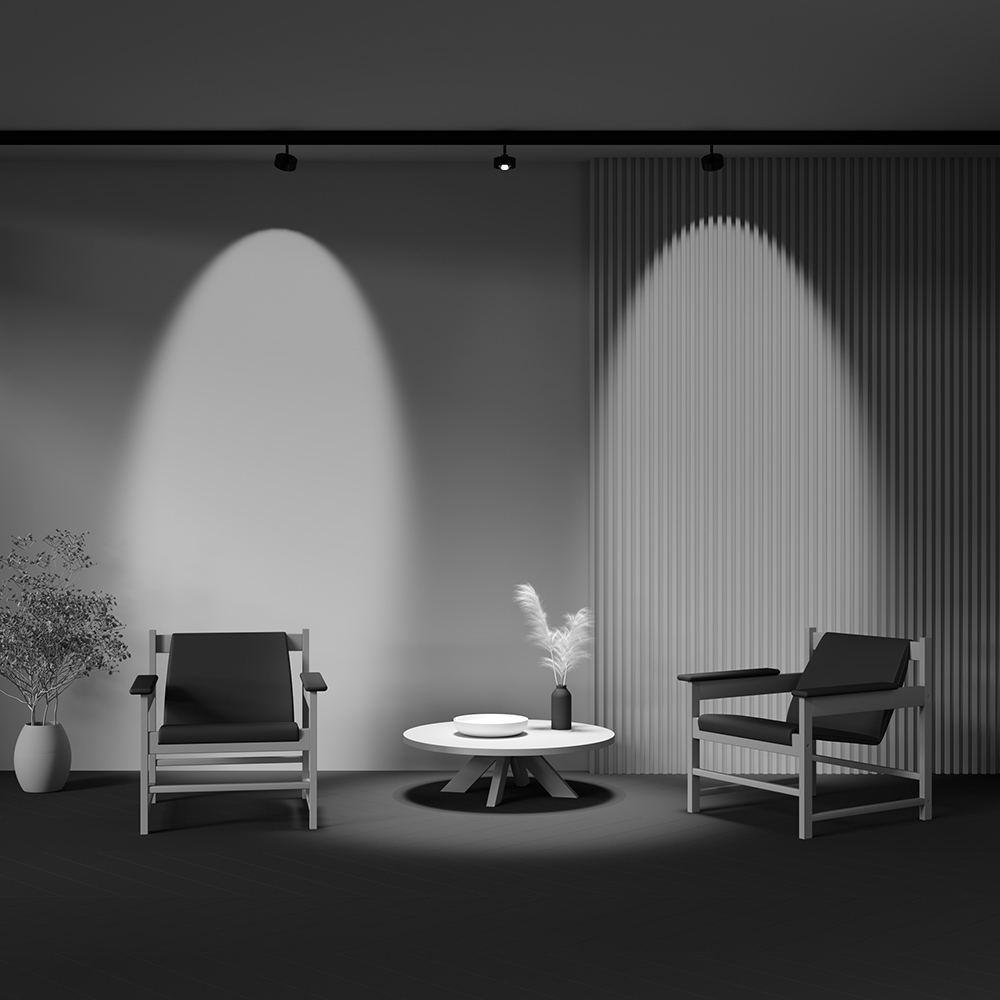 Дополнительная картинка Трековый светильник Technical TR217-2-15W4K-B