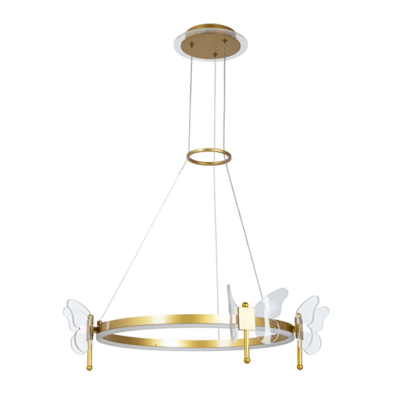 Дополнительная картинка Подвесной светильник Arte Lamp DARCY A2187LM-1GO