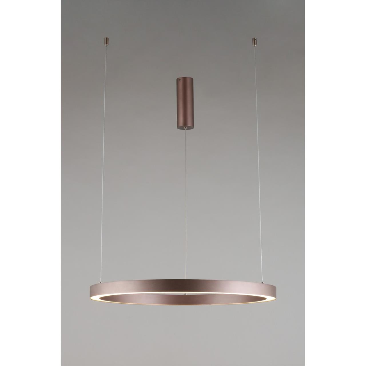 Картинка Подвесная люстра Aployt Nisia APL.025.03.48