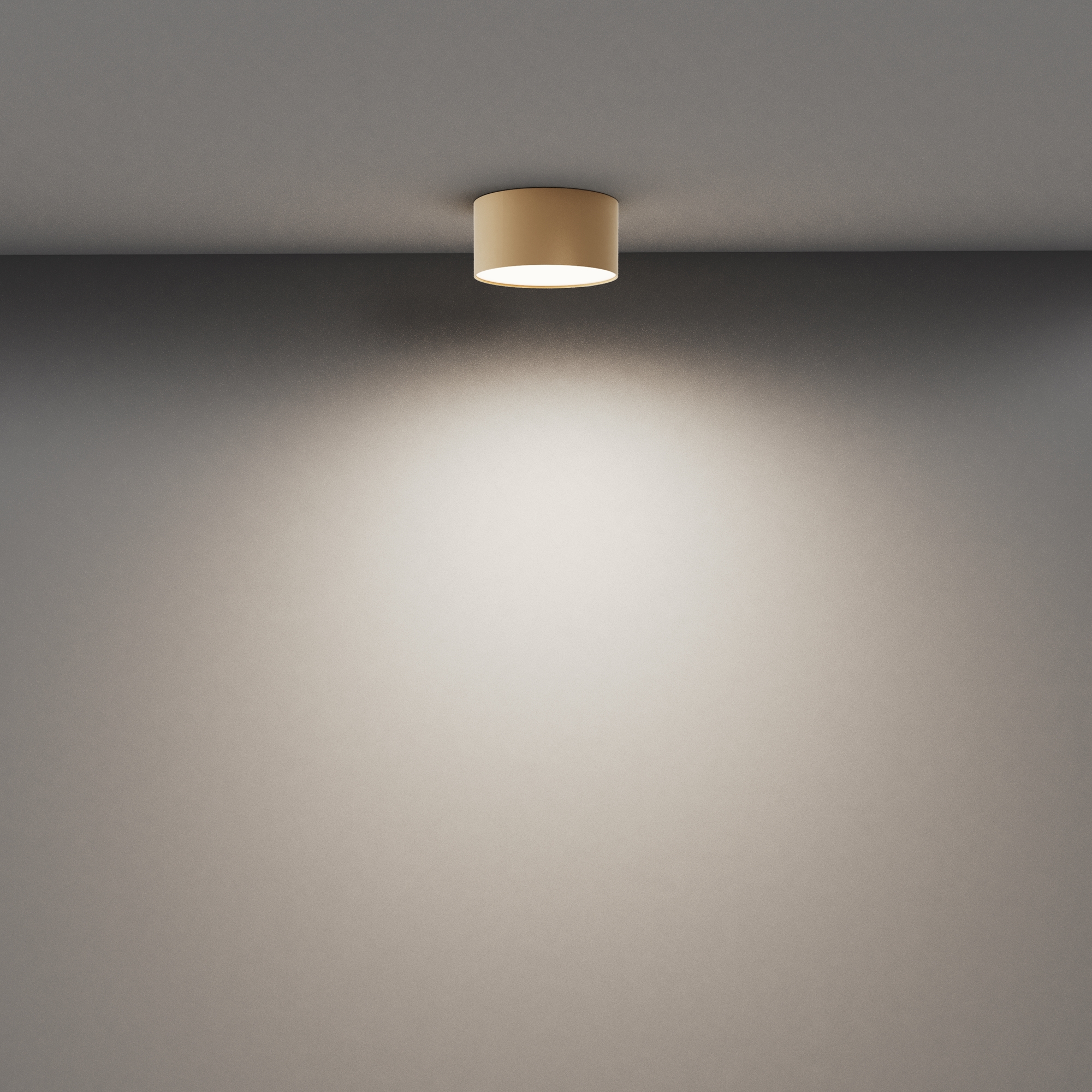 Дополнительная картинка Потолочный светильник Technical C032CL-12W4K-RD-MG