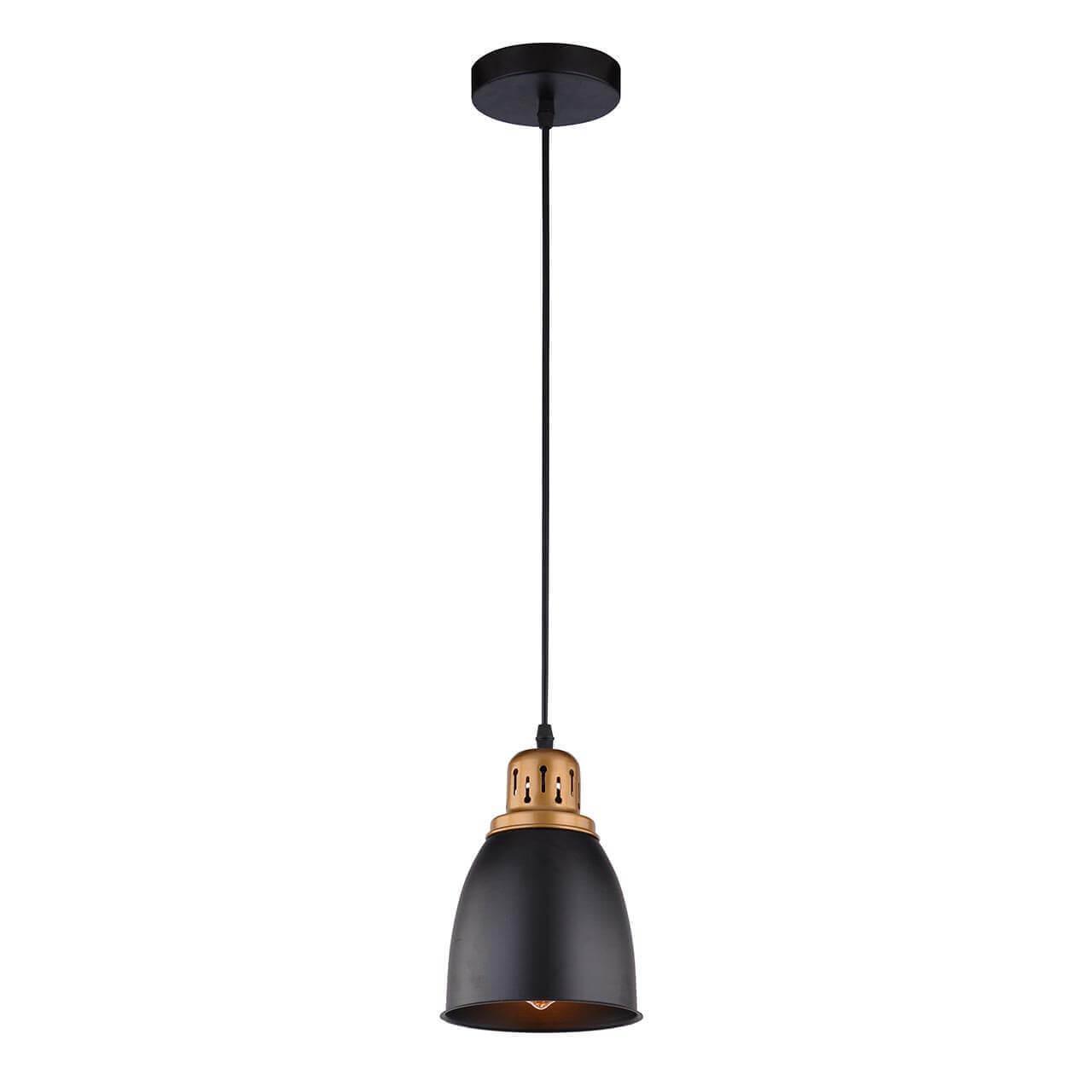 Дополнительная картинка Подвесной светильник Arte Lamp Eurica A4248SP-1BK