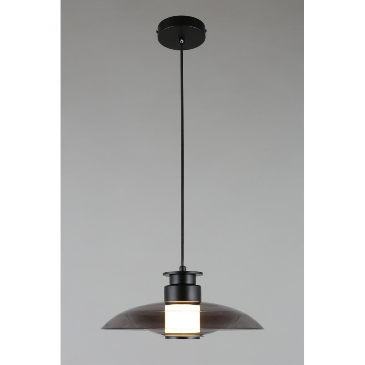 Картинка APL.648.06.10 Светильник подвесной Aployt Stefa