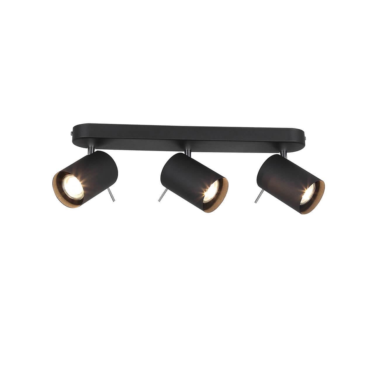 Картинка Светодиодный спот ST Luce Fanale SL597.401.03