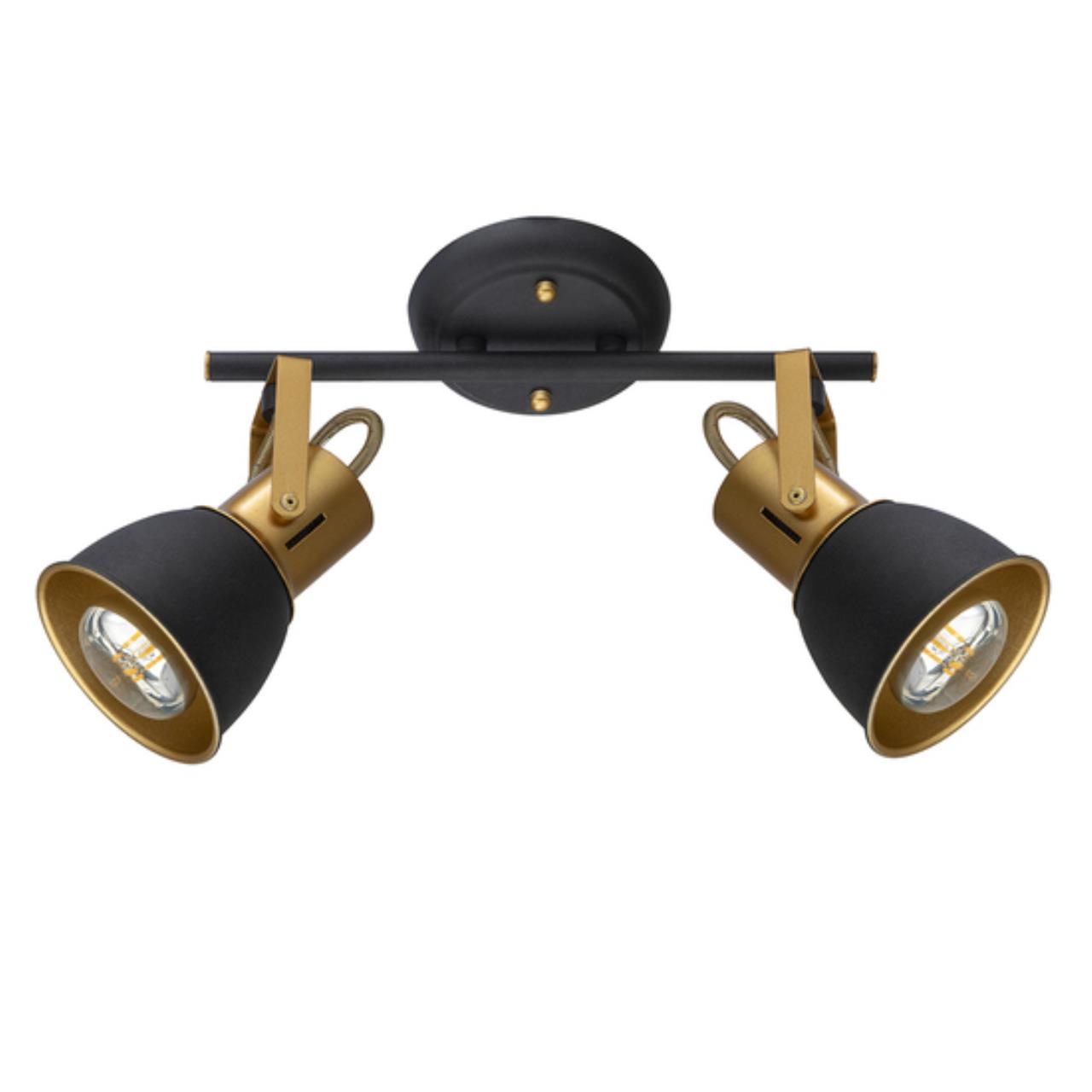 Картинка Потолочный светильник Arte Lamp JOVI A1677PL-2GO