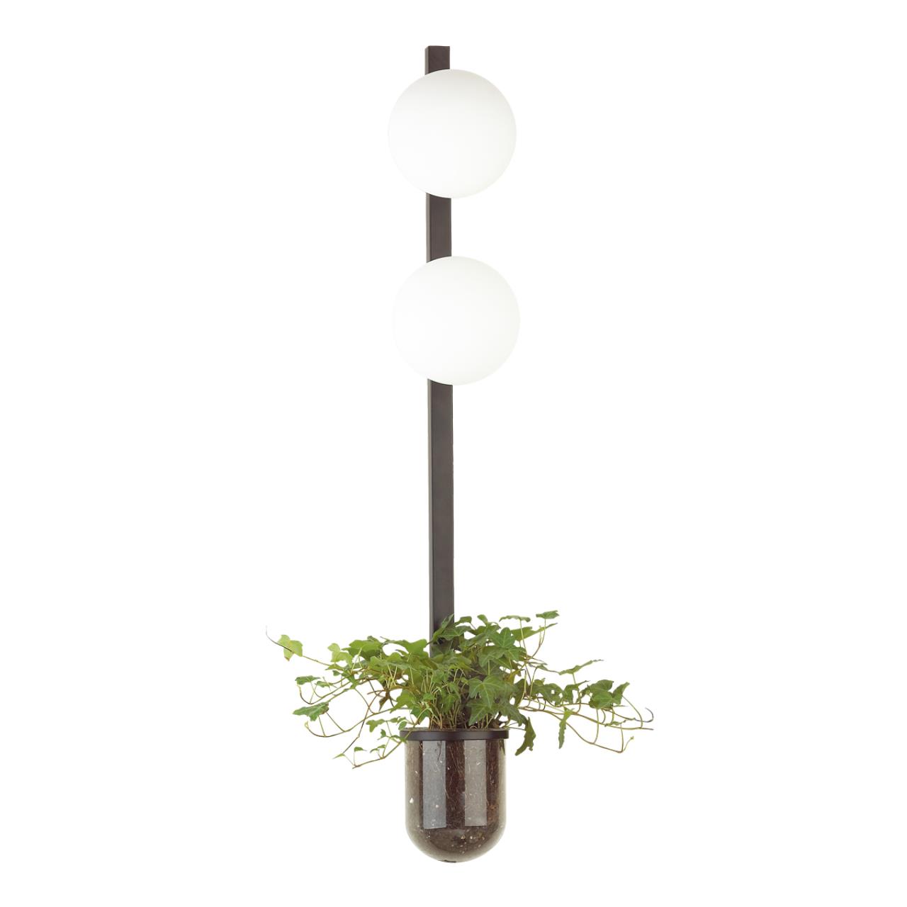 Картинка Настенный светильник Odeon Light Walli Flower 4681/2WA