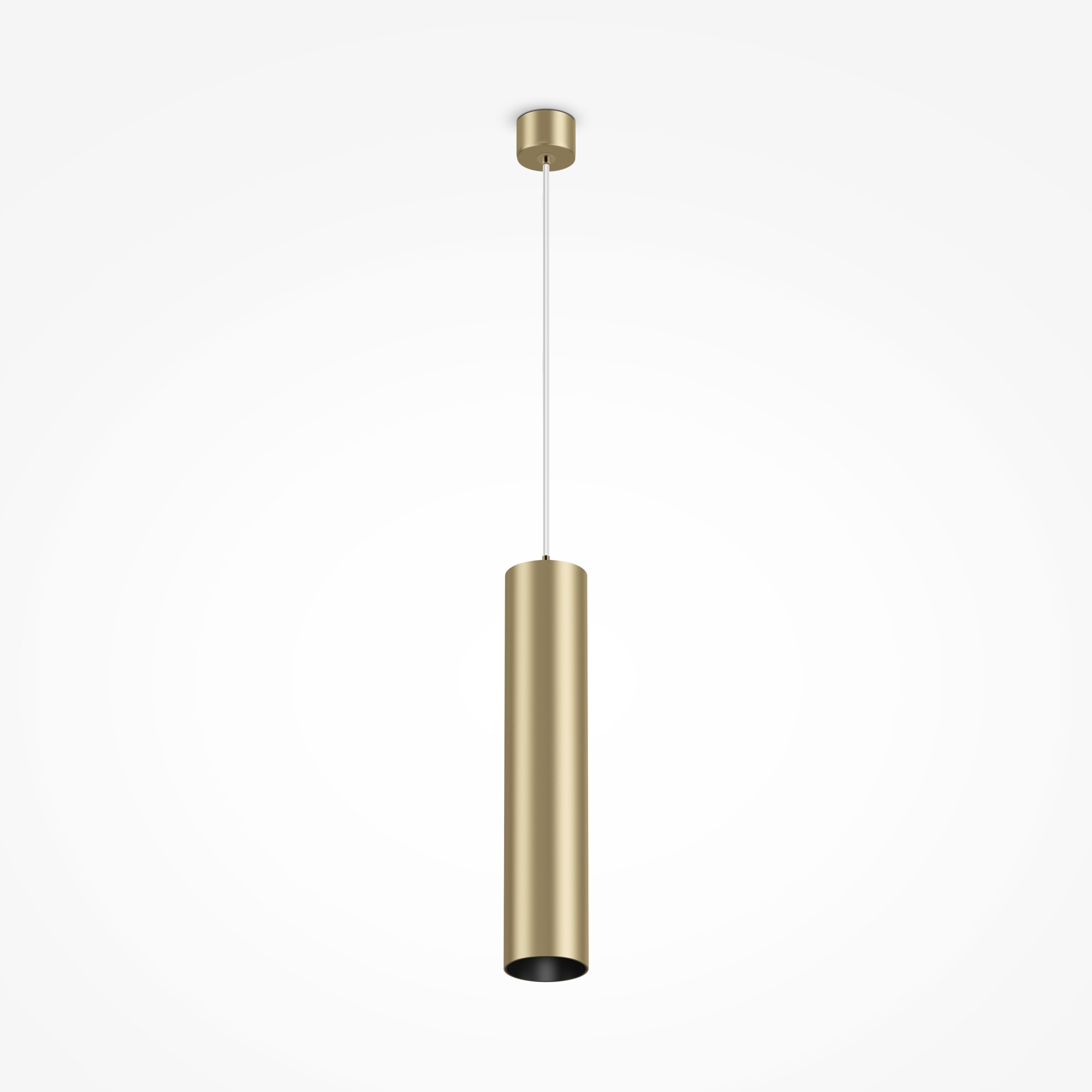 Дополнительная картинка Подвесной светильник Technical P075PL-01MG