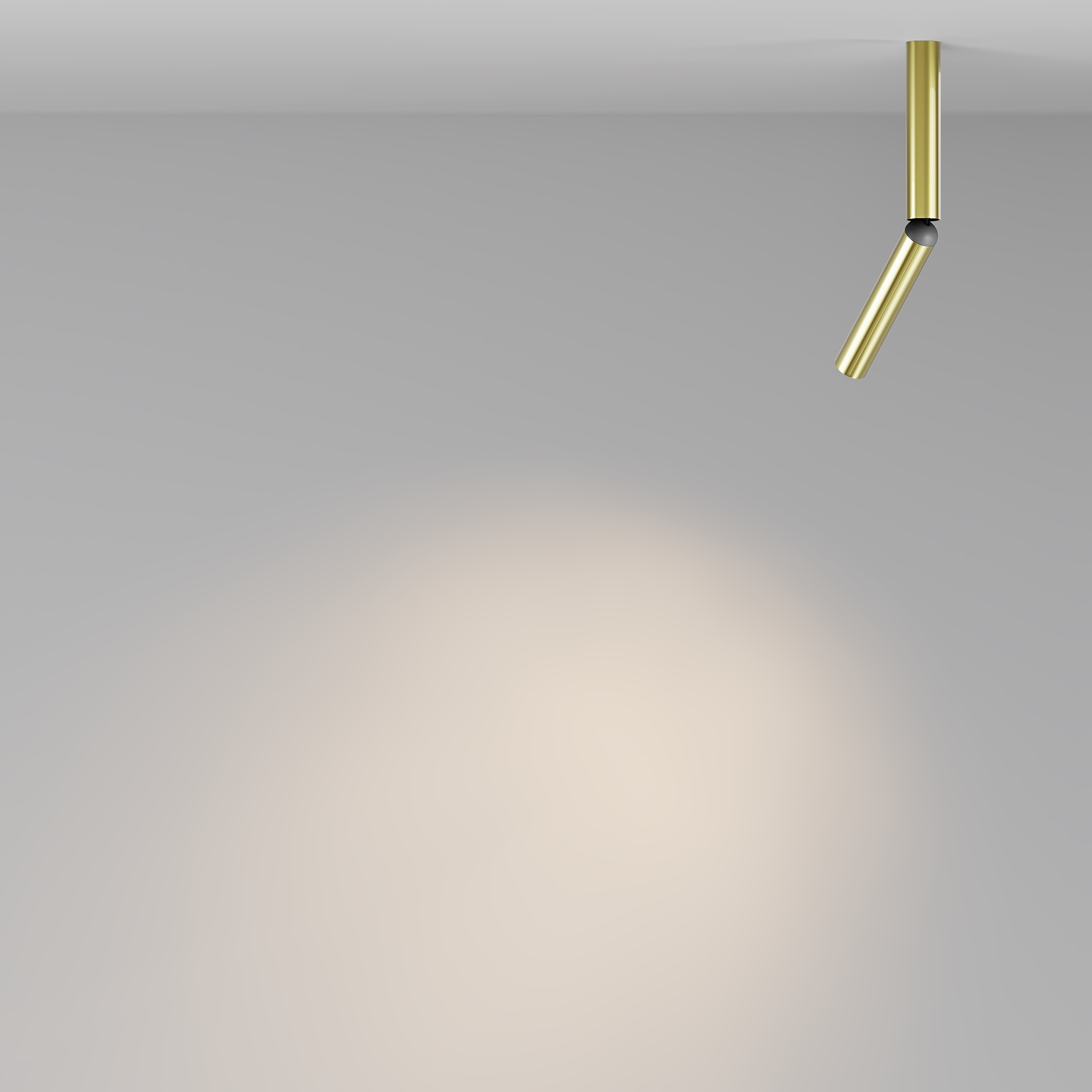 Дополнительная картинка Потолочный светильник Technical C142CL-6W3K-BS