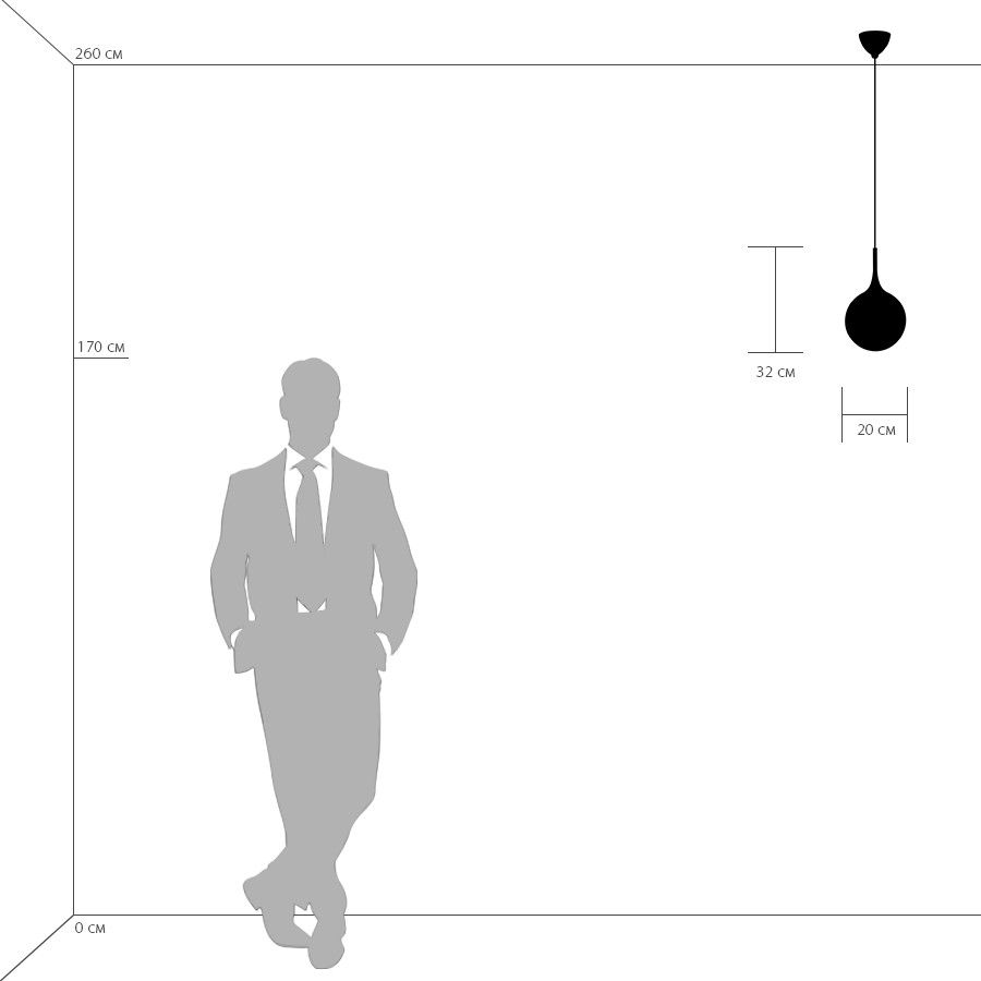 Картинка Подвесной светильник Lightstar Globo 813022