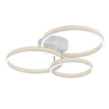 Потолочные 39895 Потолочный светильник CADINARO, LED 1Х12,5W, 1800lm, LED 2Х15,5W, 4500lm, L730, B550, H145, ст, доставка по Казахстану 