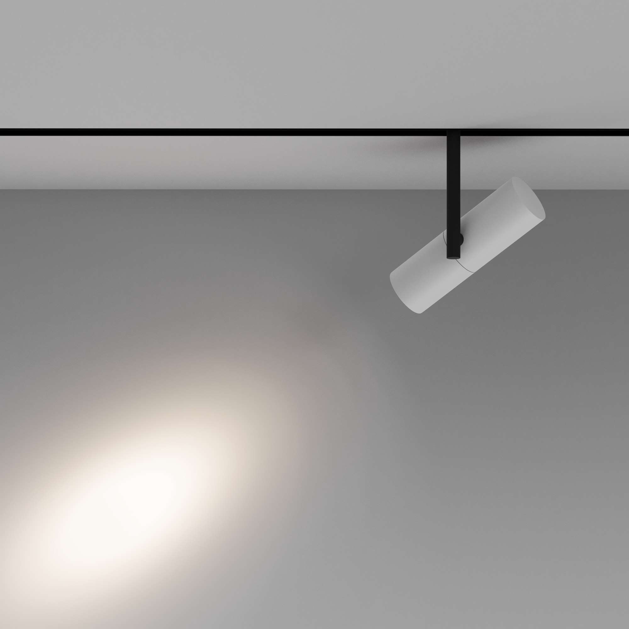 Дополнительная картинка Трековый светильник Technical TR005-2-12W4K-BW