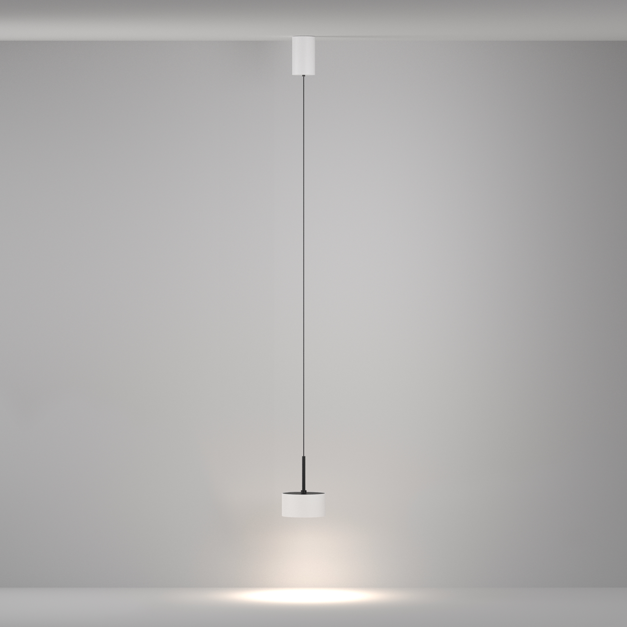 Картинка Подвесной светильник Technical P102PL-12W4K-W