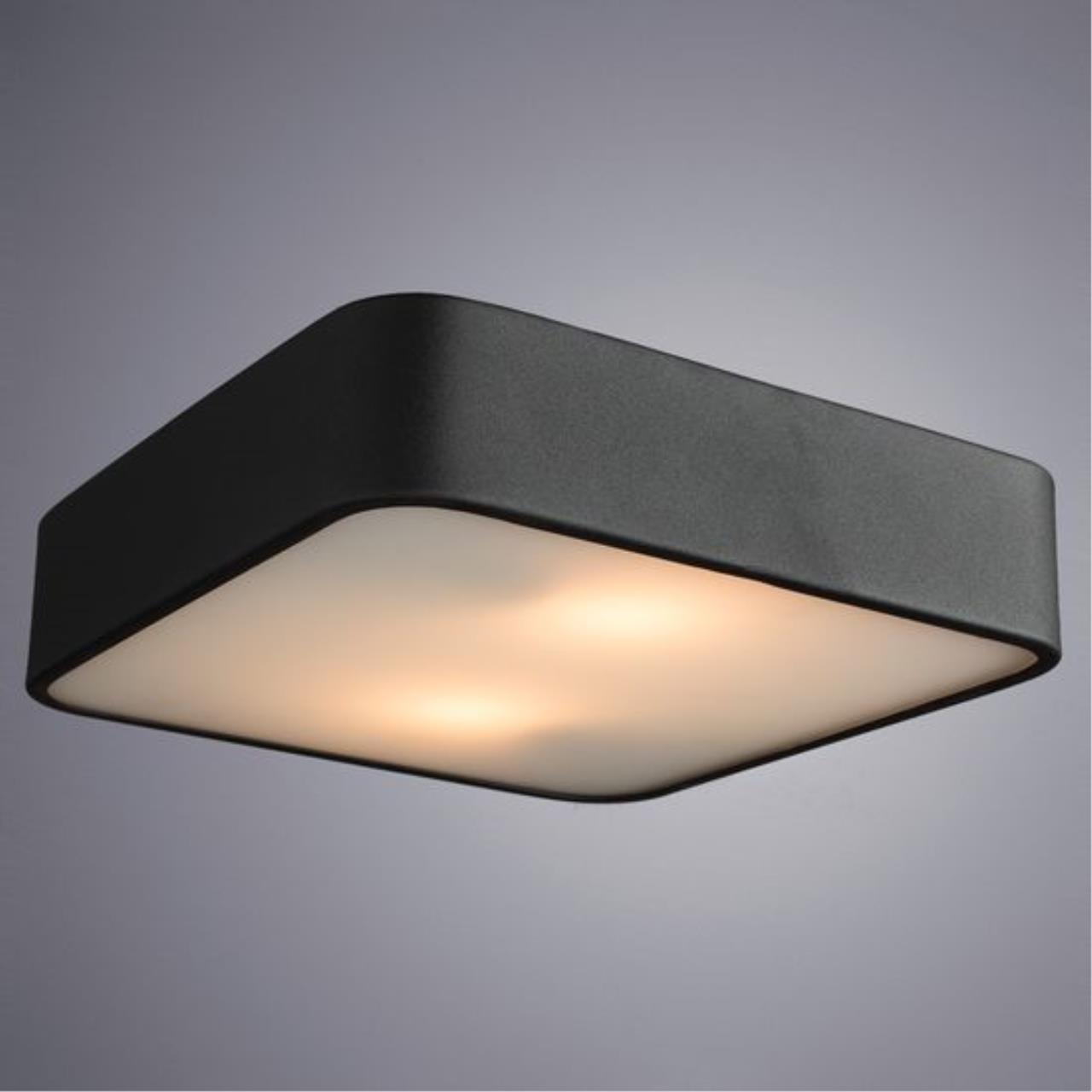 Потолочный светильник Arte Lamp Cosmopolitan A7210PL-2BK — фото 14