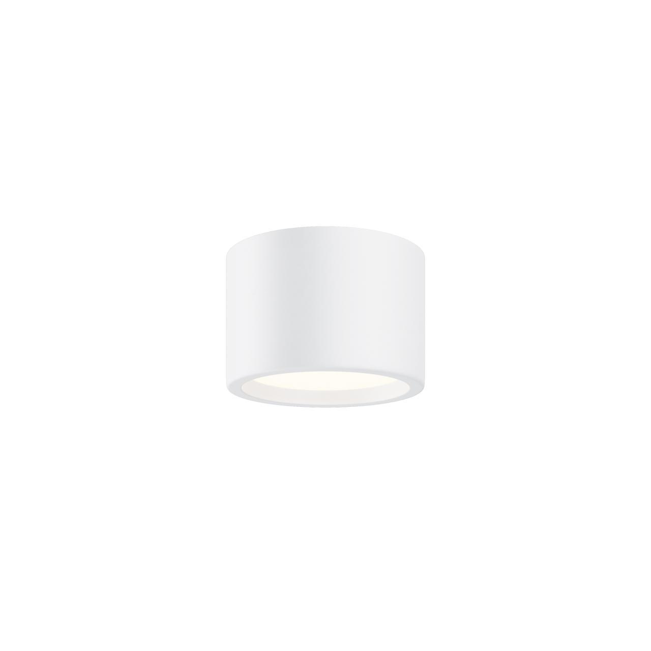 Дополнительная картинка Потолочный светильник Technical C090CL-10W4K-W