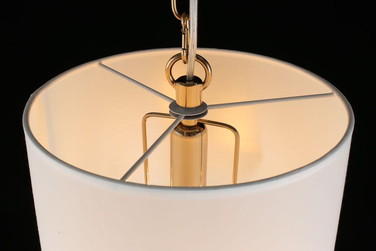 Картинка Подвесной светильник Aployt Franula APL.724.06.01