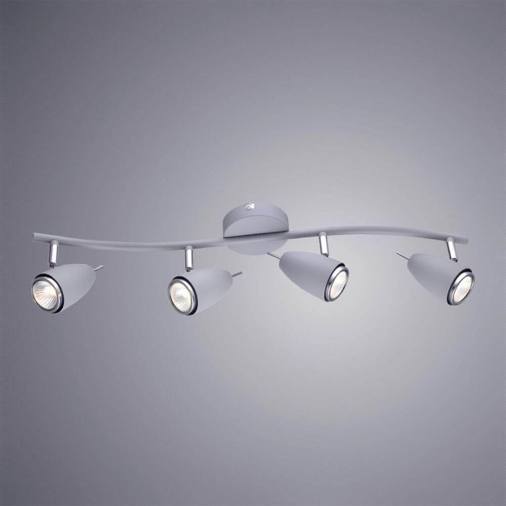 Дополнительная картинка Настенно-потолочный светильник Arte Lamp Regista A1966PL-4GY