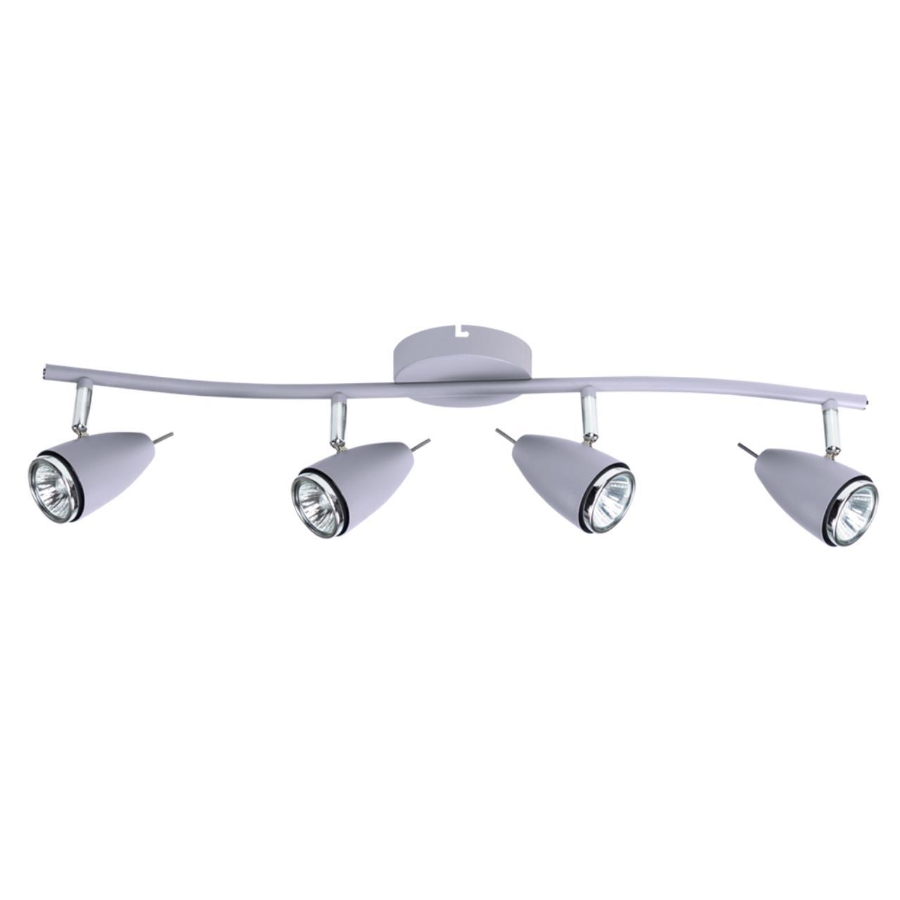 Дополнительная картинка Настенно-потолочный светильник Arte Lamp Regista A1966PL-4GY