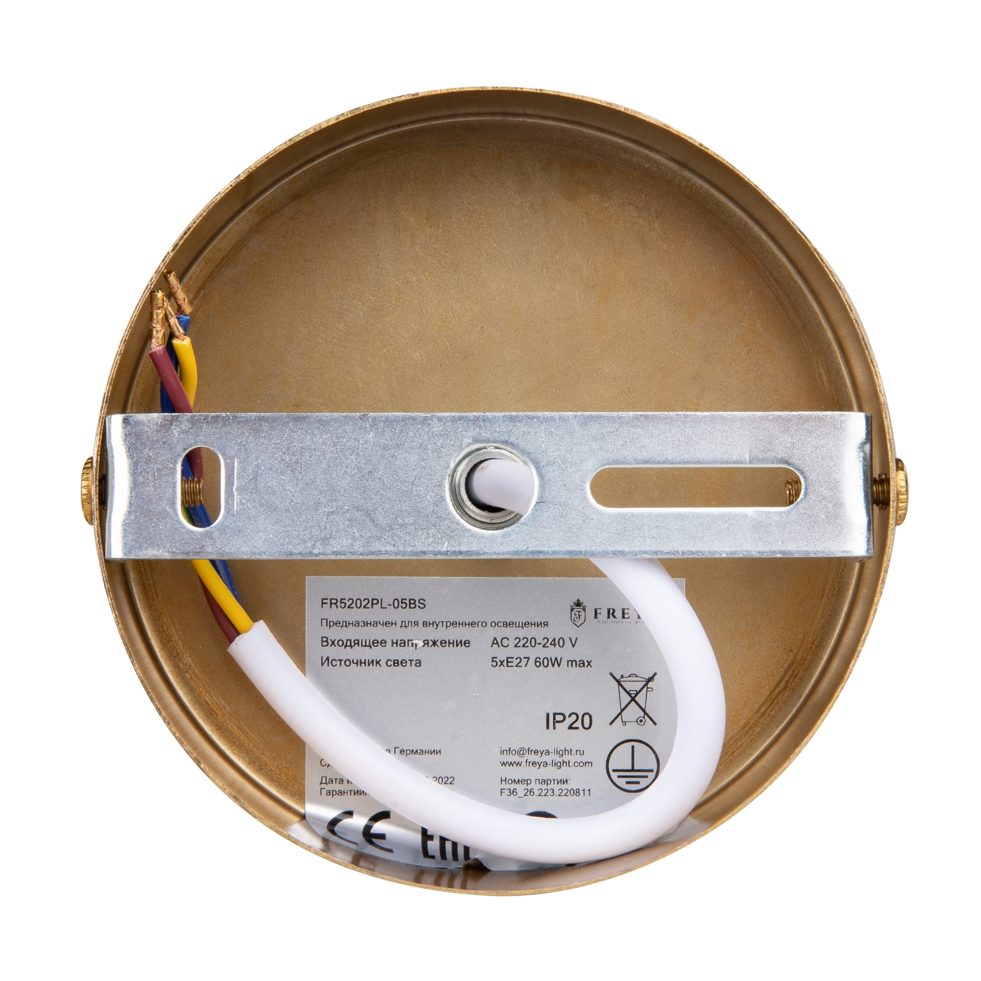 Дополнительная картинка Подвесной светильник Freya FR5202PL-05BS