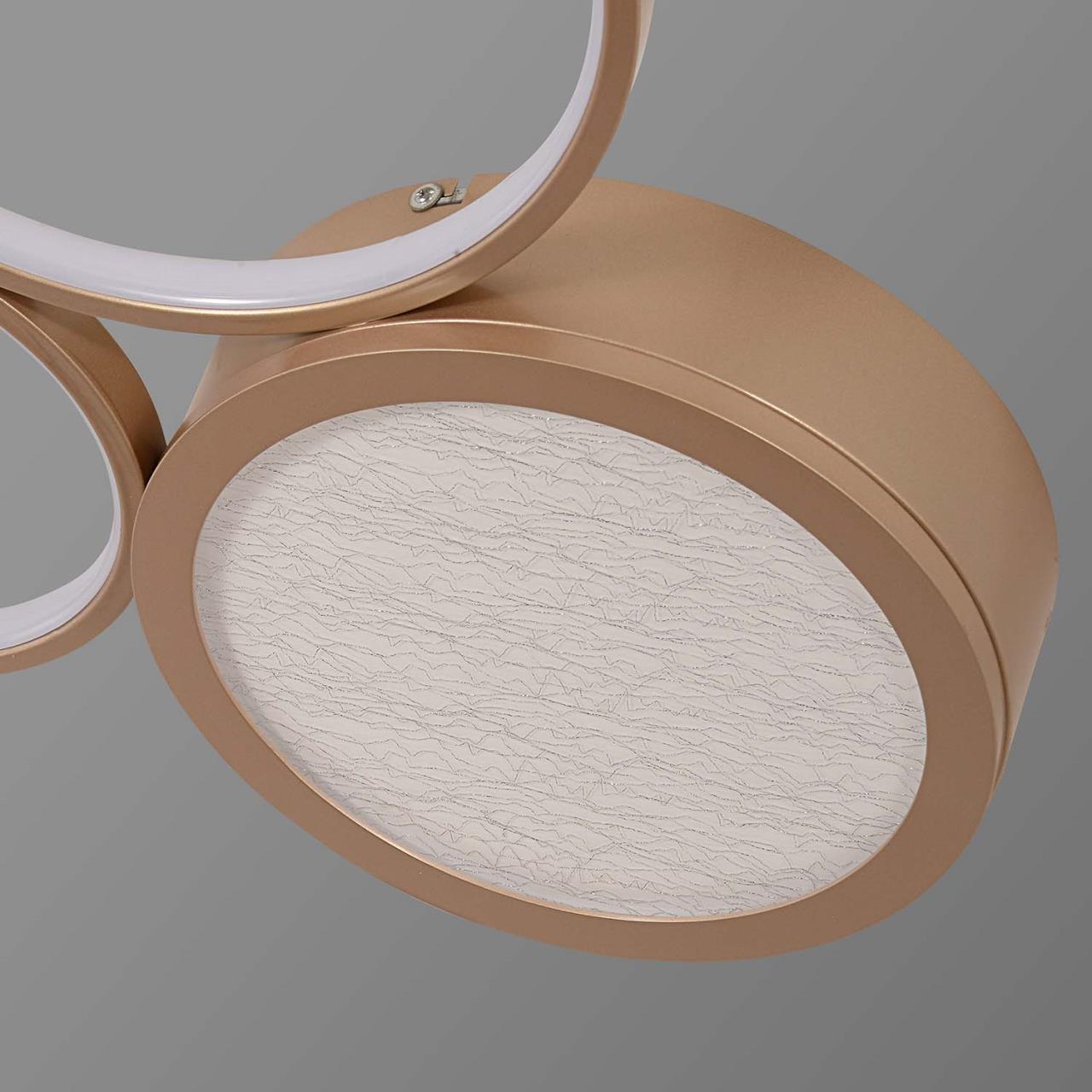 Дополнительная картинка 4681-3C Потолочный светильник Campus F-Promo