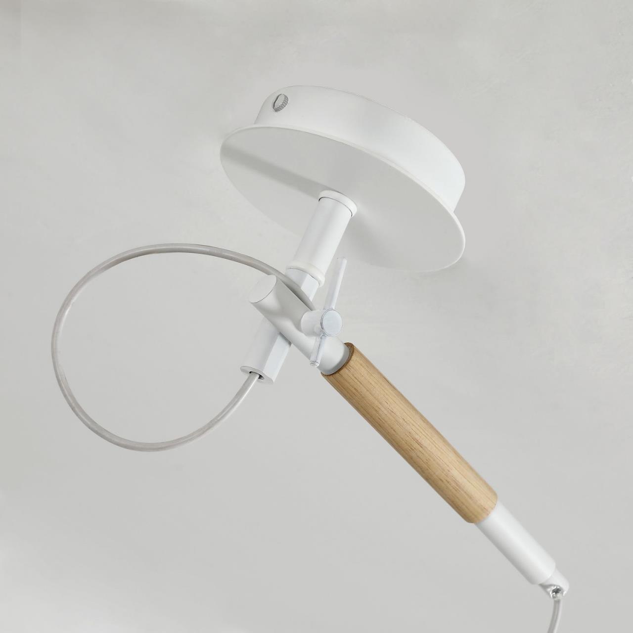 Картинка Настенно-потолочный светильник Eureka 3005-1P